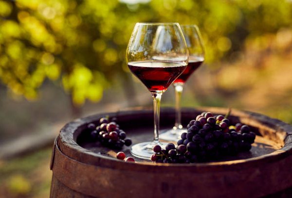 막걸리 탄산 생성 원리와 조절 방법