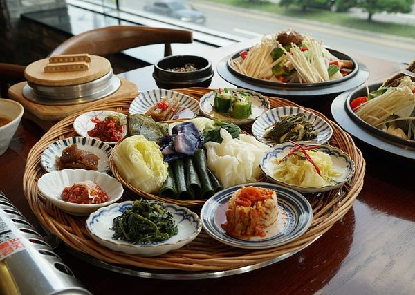 콤부차 스코비 관리와 재배양 방법