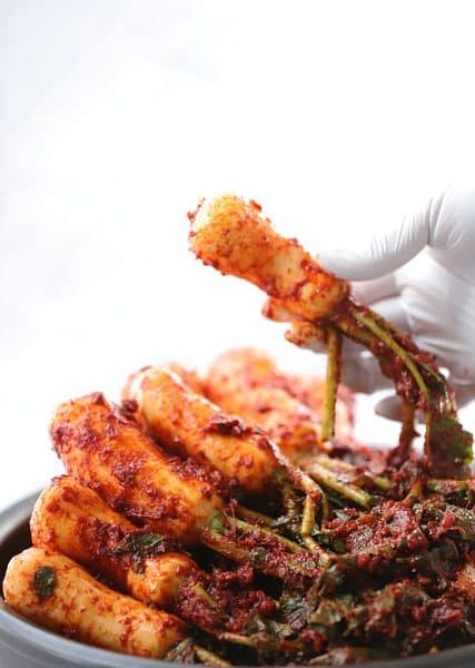 전체 글 2 물김치 발효 원리와 유산균 증식 최적화 가이드